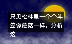 只見松林里一個(gè)個(gè)斗笠像蘑菇一樣，分析這句話是什么意思