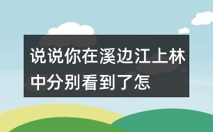 說說你在溪邊、江上、林中分別看到了怎樣的畫面,任選其中一個(gè)寫下來