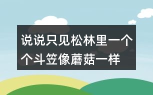 說說“只見松林里一個個斗笠像蘑菇一樣”的意思,你看到了什么畫面?