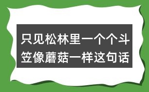 只見松林里一個(gè)個(gè)斗笠像蘑菇一樣這句話是什么意思