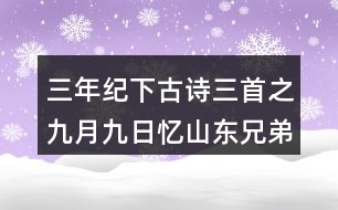 三年紀(jì)下古詩(shī)三首之九月九日憶山東兄弟重難點(diǎn)課堂筆記