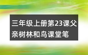 三年級(jí)上冊(cè)第23課父親、樹林和鳥課堂筆記重難點(diǎn)歸納