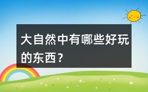 大自然中有哪些好玩的東西？