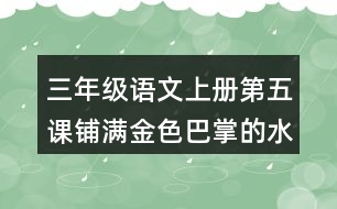 三年級語文上冊第五課鋪滿金色巴掌的水泥道課后答案