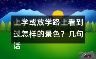 上學(xué)或放學(xué)路上看到過(guò)怎樣的景色？幾句話寫下來(lái)