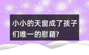 小小的天窗成了孩子們“唯一的慰藉”?找出相關語句和同學交流。