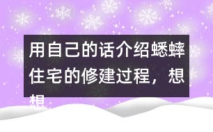 用自己的話介紹蟋蟀住宅的修建過程，想想為什么蟋蟀的住宅可以算是“偉大的工程”。