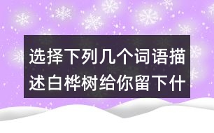 選擇下列幾個詞語描述白樺樹給你留下什么印象