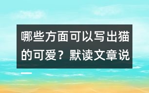 哪些方面可以寫出貓的可愛？默讀文章說一說