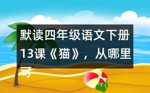 默讀四年級語文下冊13課《貓》，從哪里可以看出作者喜歡貓