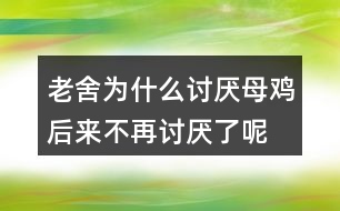 老舍,為什么討厭母雞,后來不再討厭了呢