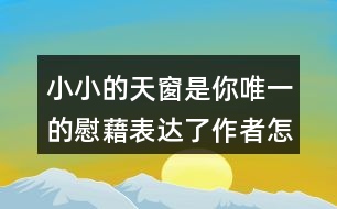 小小的天窗是你唯一的慰藉表達(dá)了作者怎樣的思想感情