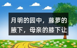 “月明的園中，藤蘿的腋下，母親的膝下”讓你有何感受？