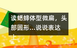 讀蟋蟀體型微扁，頭部圓形...說說表達上與課文有何不同