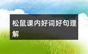 松鼠課內好詞好句理解