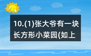 10.(1)張大爺有一塊長方形小菜園(如上圖)，他想用籬笆圍起來，需要籬笆多少米? (2)如果兩個公司所售的籬笆質量相同，你能幫張大爺推薦一下，選用哪家公司的比較合算?你是怎樣想的?與同伴進行交流。