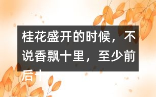 桂花盛開的時候，不說香飄十里，至少前后十幾家鄰居，沒有不浸在桂花香里的。