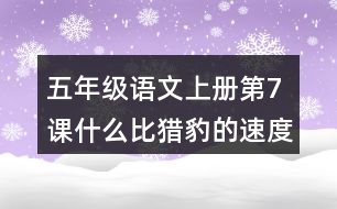 五年級語文上冊第7課什么比獵豹的速度更快生字組詞與近反義詞