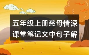 五年級(jí)上冊(cè)慈母情深課堂筆記文中句子解析