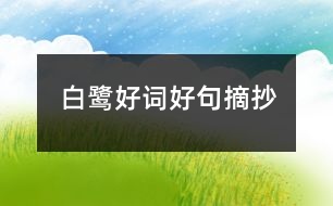 白鷺好詞好句摘抄