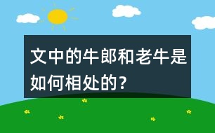 文中的牛郎和老牛是如何相處的？