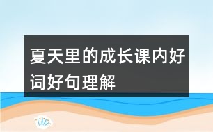 夏天里的成長(zhǎng)課內(nèi)好詞好句理解