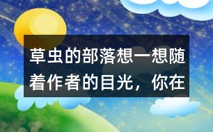 草蟲的部落想一想隨著作者的目光，你在“曹操的部落”看到了什么，印象最深的有哪些？