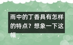 雨中的丁香具有怎樣的特點？想象一下這幅畫面。