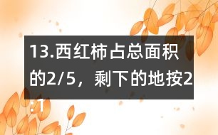 13.西紅柿占總面積的2/5，剩下的地按2:1的比種黃瓜和茄子。