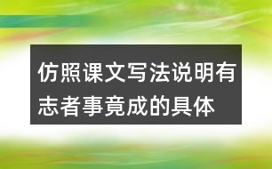 仿照課文寫法,說(shuō)明有志者事竟成的具體事例