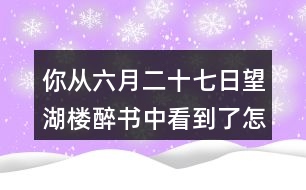 你從六月二十七日望湖樓醉書中看到了怎樣的一幅畫面？