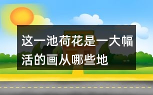 這一池荷花是“一大幅活的畫(huà)”從哪些地方體會(huì)到