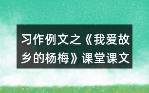 習(xí)作例文之《我愛(ài)故鄉(xiāng)的楊梅》課堂課文解析筆記