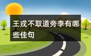 王戎不取道旁李有哪些佳句