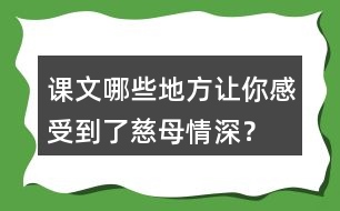 課文哪些地方讓你感受到了慈母情深？