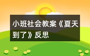 小班社會教案《夏天到了》反思