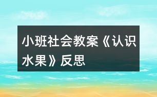 小班社會(huì)教案《認(rèn)識(shí)水果》反思