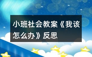 小班社會教案《我該怎么辦》反思