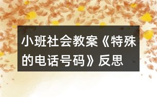 小班社會教案《特殊的電話號碼》反思