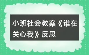 小班社會教案《誰在關(guān)心我》反思