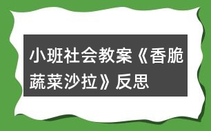 小班社會教案《香脆蔬菜沙拉》反思