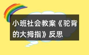 小班社會教案《駝背的大拇指》反思