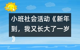 小班社會活動《新年到，我又長大了一歲》教學(xué)設(shè)計反思