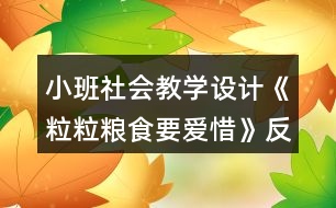 小班社會教學(xué)設(shè)計《粒粒糧食要愛惜》反思