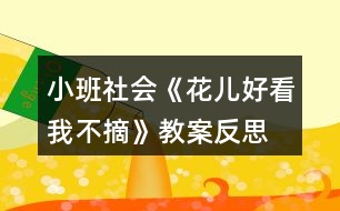 小班社會《花兒好看我不摘》教案反思