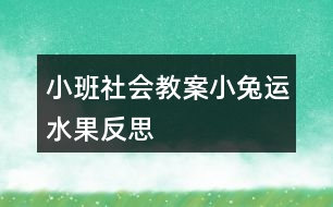 小班社會教案小兔運水果反思