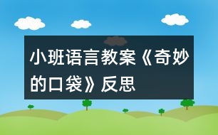 小班語言教案《奇妙的口袋》反思