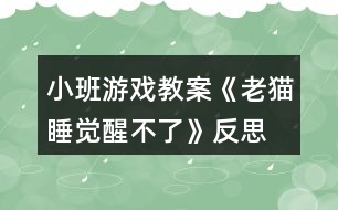 小班游戲教案《老貓睡覺醒不了》反思