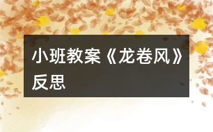 小班教案《龍卷風》反思