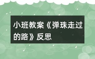 小班教案《彈珠走過的路》反思